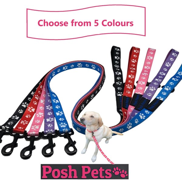 Guinzaglio per cani in nylon / Guinzaglio per cani con impronta di zampa / Guinzaglio per cani con manico imbottito in neoprene / Guinzaglio per cani di taglia medio-grande / Guinzaglio con manico imbottito per animali domestici eleganti