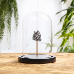 Campo del Cielo Meteorite In Glass Dome with Wooden base