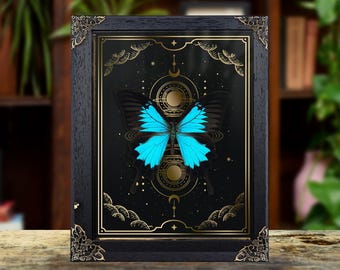 May include: A rectangular black wooden frame with ornate metal corner accents containing a print of a bright blue and black butterfly centered over a gold geometric design with celestial symbols on a black background.