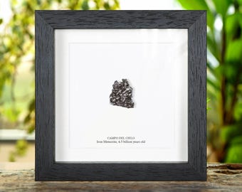 Campo del Cielo Meteorite Frame