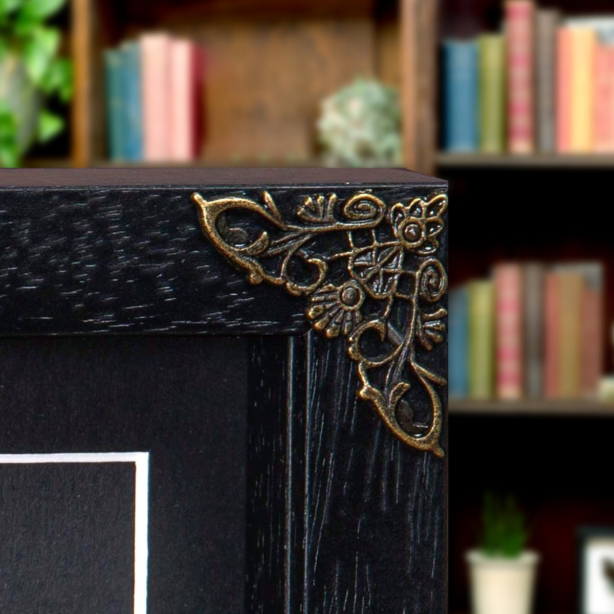 Atlas Moth in Baroque Style Frame (attacus Atlas) - Etsy