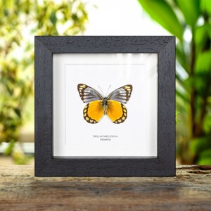 蝶の樹　Butterfly Tree #004 20 Inch Rustic Metal Butterfly Tree Hanging Wall Sculpture