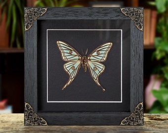 Graellsia Isabellae REPLICA Framed Green Spanish Moon Moth Saturn