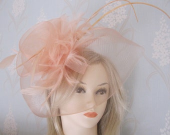 Plume accentué Fascinator serre-tête mariée bal courses course jour cheveux de mariée pièce Ascot courses Kentucky Derby Grand national