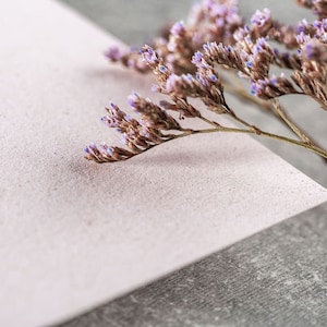 Nachhaltiges Naturpapier 5er Set Farbe Atrosa einfarbige Papierbögen, dickes Papier 250g, Hochzeit Karten basteln, Einladungen drucken Bild 1