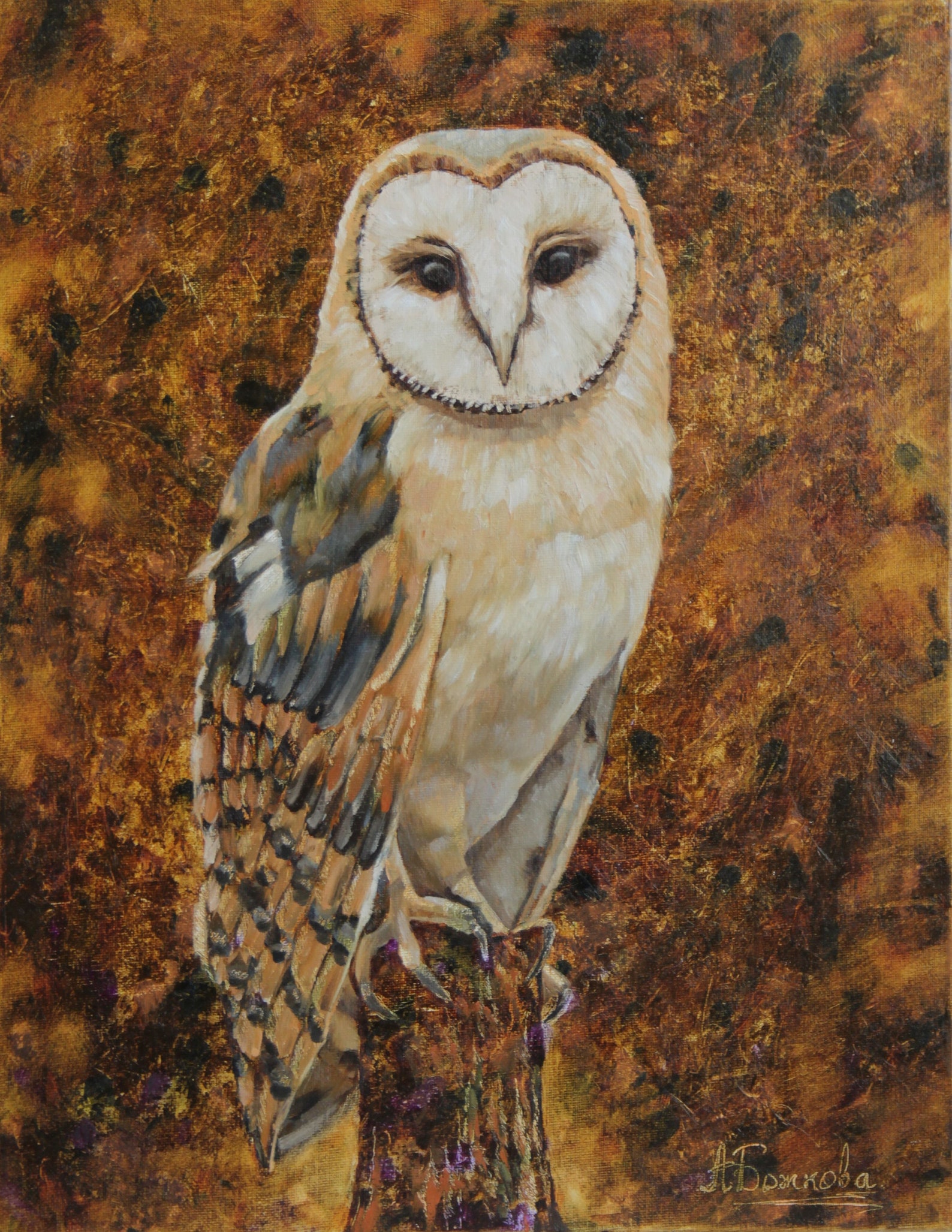 Barn Owl Oil Painting Realistic Owl Wall Art Oil painting Etsy