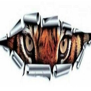 Cool 3D Pair Car Styling Funny Tiger Eyes Peeking Sticker Waterproof.
