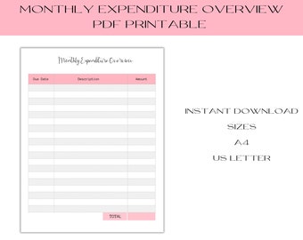 Budget Template, Instant Download Planner Insert, PDF Printable, Budget by Paycheck Finance Planner