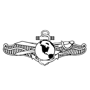 Information Dominance Warfare Insignia