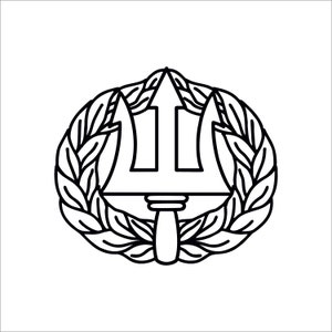 Command Ashore insignia