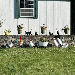 a group of chickens and chickens in front of a house