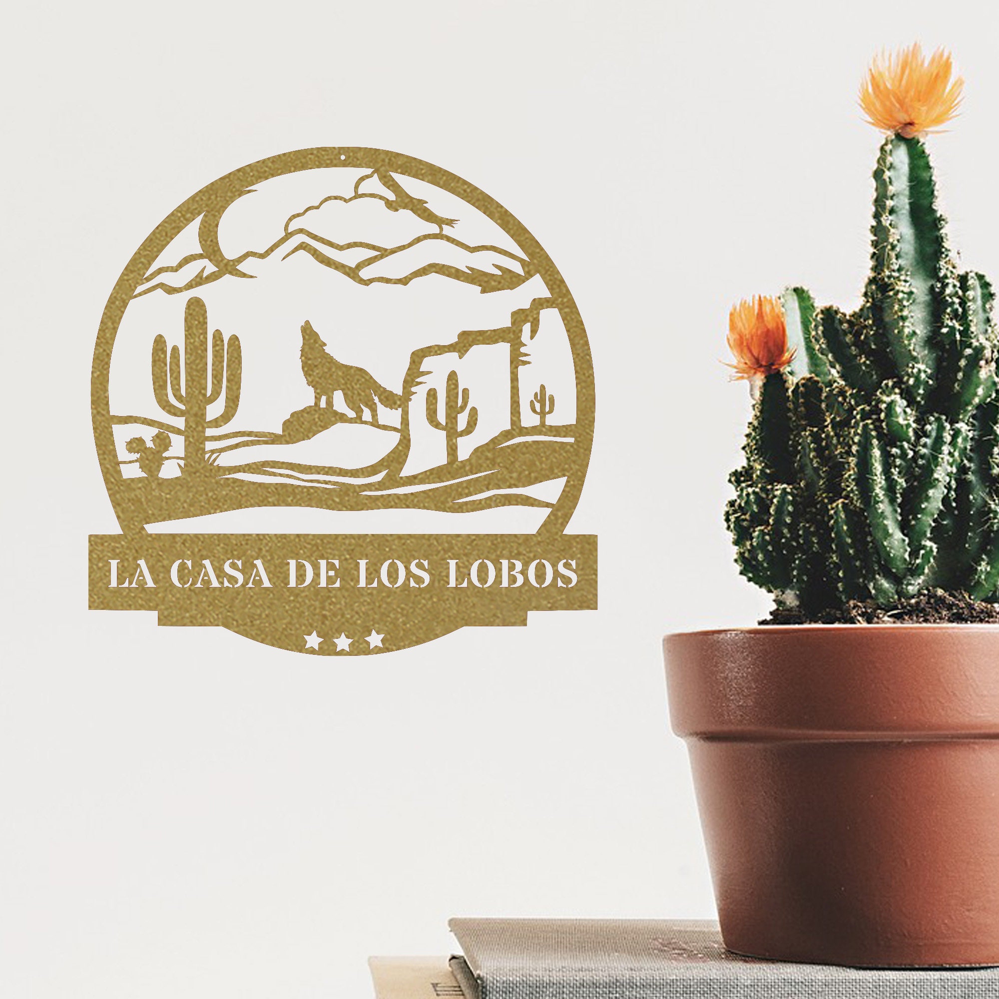 cactus mix soil Black Gold Succulent and Cactus Mix (8 qt)