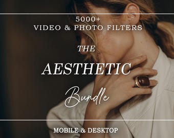 300+ professionelle ästhetische LUTs - Video Color Grading Filter für Premiere Pro