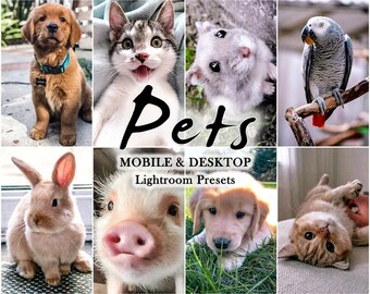 10 PETS LIGHTROOM Presets, Pets Presets, Mobile Presets, Animal presets, Dog preset, cat presets, Puppy Presets, Instagram Presets Bundle