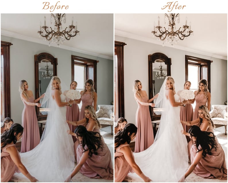 May include: A bride in a white wedding dress with a long veil stands surrounded by bridesmaids in dusty rose floor-length gowns. The group is positioned in a room with a chandelier, a large mirror, and a window, with the bride holding a bouquet.