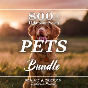 Op de afbeelding: Een golden retriever hond met een halsband is het middelpunt van deze afbeelding. De tekstoverlay luidt "800+ Lightroom Presets" en "PETS Bundle". De achtergrond is een wazig veld bij zonsondergang, met de woorden "MOBILE & DESKTOP Lightroom Presets" onderaan.