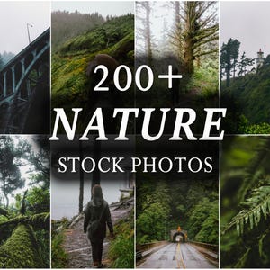 200+ Nature Stock Images Bundle, Nature Photos, Marketing Stock Photos Bundle, Instagram Outdoor, Mountain
