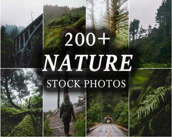200+ Nature Stock Images Bundle, Nature Photos, Marketing Stock Photos Bundle, Instagram Outdoor, Mountain