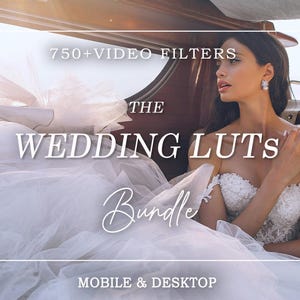 Plus de 4 000 LUT de mariage professionnelles - Filtres d'étalonnage vidéo pour Premiere Pro