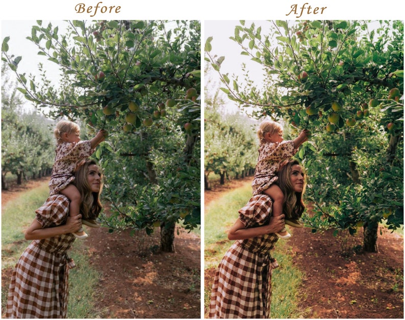 May include: A split-screen comparison showing an adult wearing a brown and white checkered dress with a child in a floral dress sitting on their shoulders, both reaching toward green apples hanging from the branches of an apple tree in an orchard.
