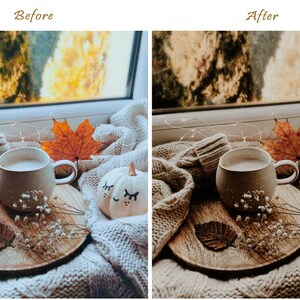 16 Moody Fall presets, Lightroom Presets, Autumn Preset voor Desktop en Mobile Lightroom, blogger aardse natuur, Warm Instagram filter vsco afbeelding 9