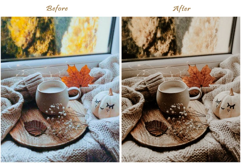 16 Moody Fall presets, Lightroom Presets, Autumn Preset voor Desktop en Mobile Lightroom, blogger aardse natuur, Warm Instagram filter vsco afbeelding 9