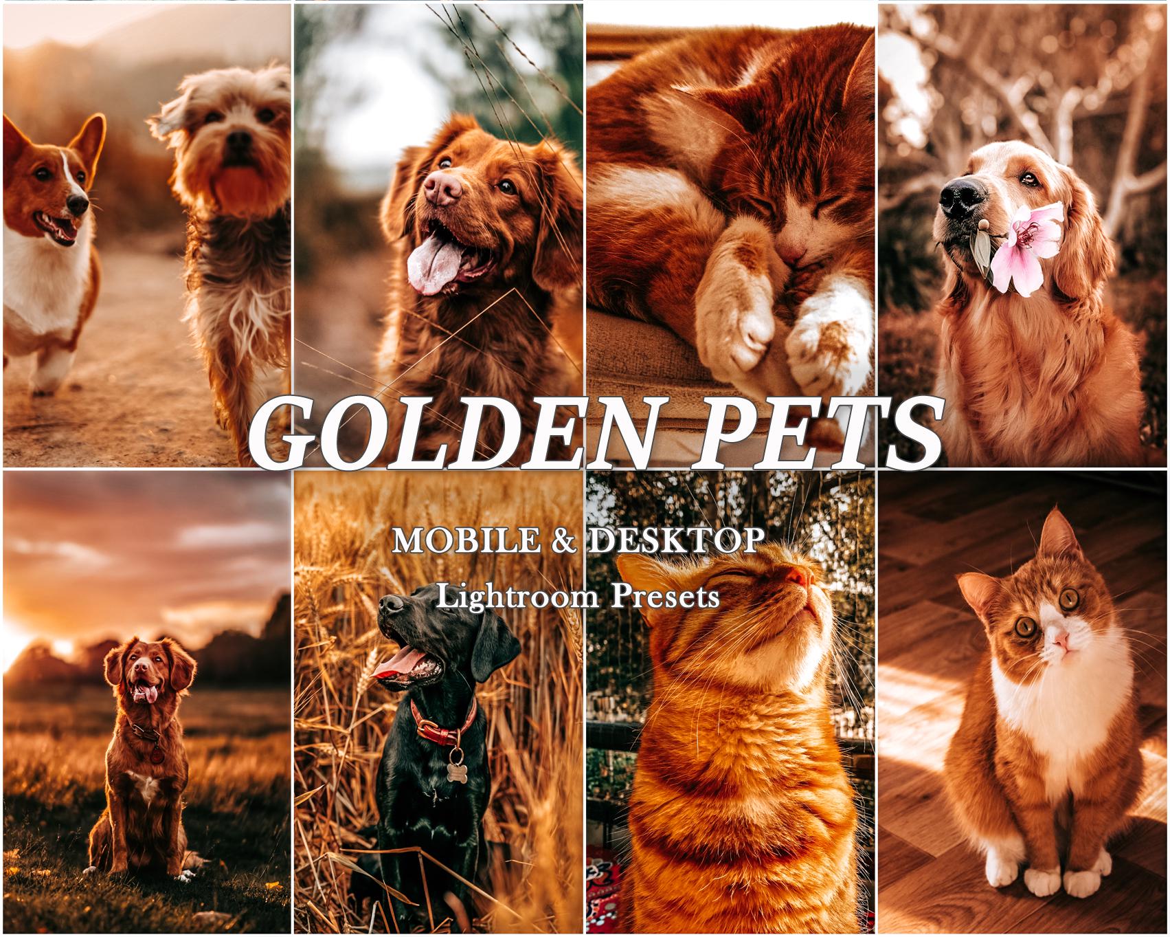 800+ PETS Presets, Dog LIGHTROOM Presets, Cat Mobile Presets, Animal ...