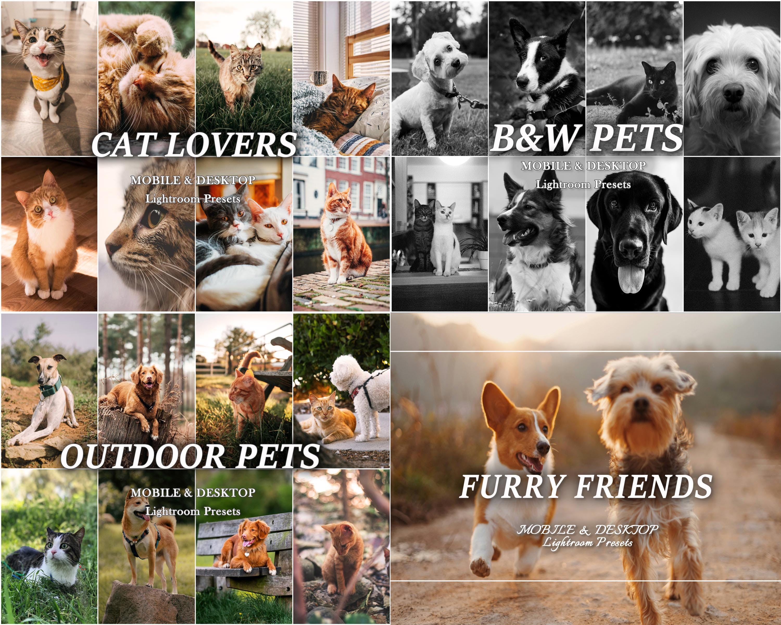 800+ PETS Presets, Dog LIGHTROOM Presets, Cat Mobile Presets, Animal ...