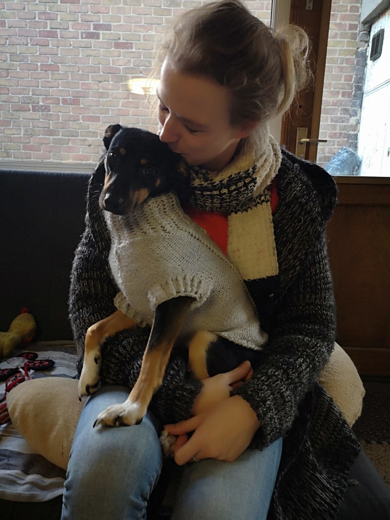 DYLLYS DOG SWEATER on demand