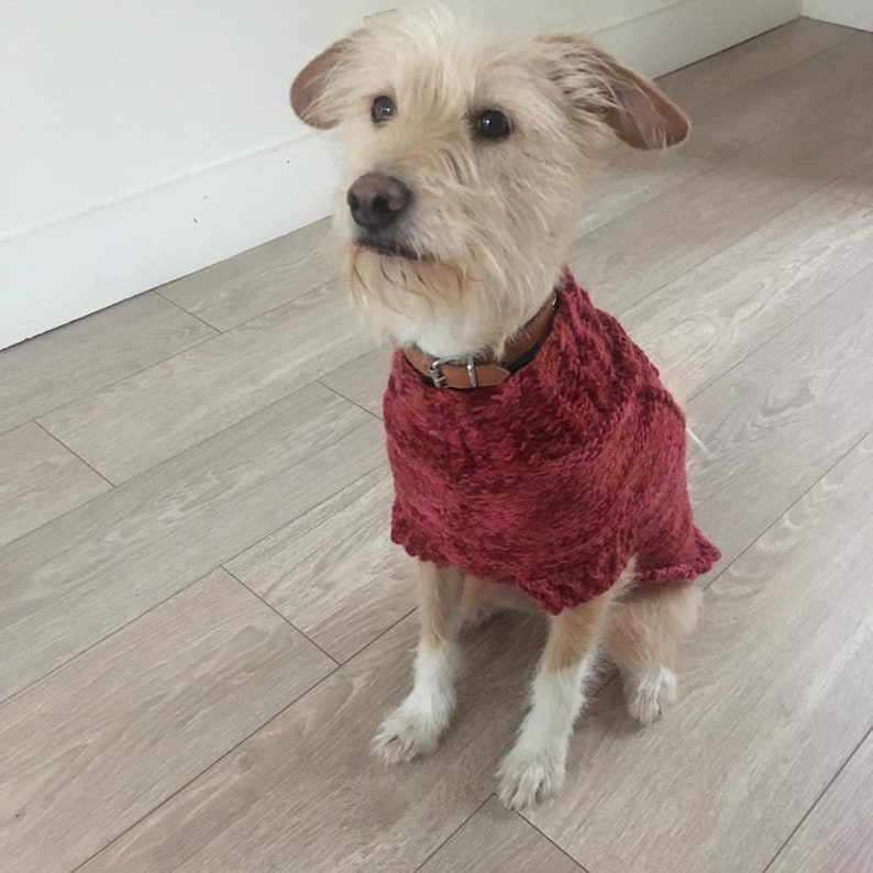 DYLLYS DOG SWEATER on demand