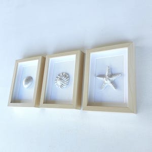 Tableaux blancs et beiges ornés de coquillages en relief, art côtier original, décoration murale rustique pour maison de plage