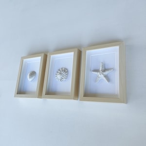 Può includere: Tre quadri incorniciati con tema marino. Ogni cornice in legno chiaro contiene una conchiglia, una conchiglia di nautilus e una stella marina bianca, su sfondo bianco. Le cornici sono appese a una parete bianca.
