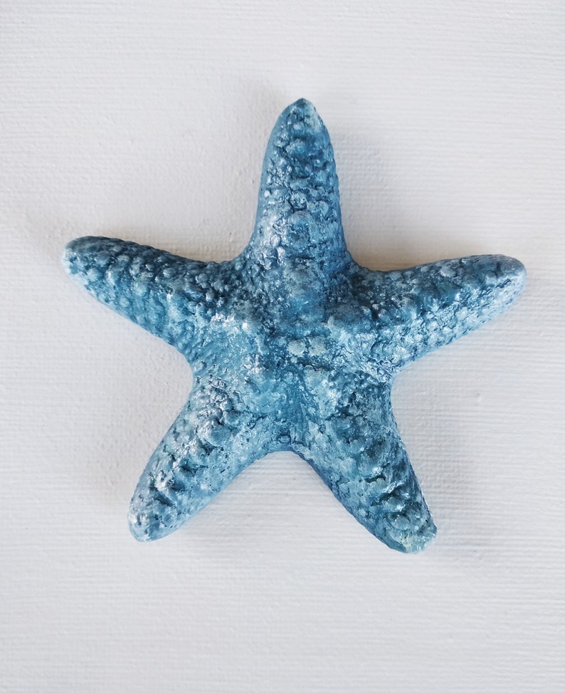 3d starfish bathroom wall art blue bathroom starfish beach Etsy