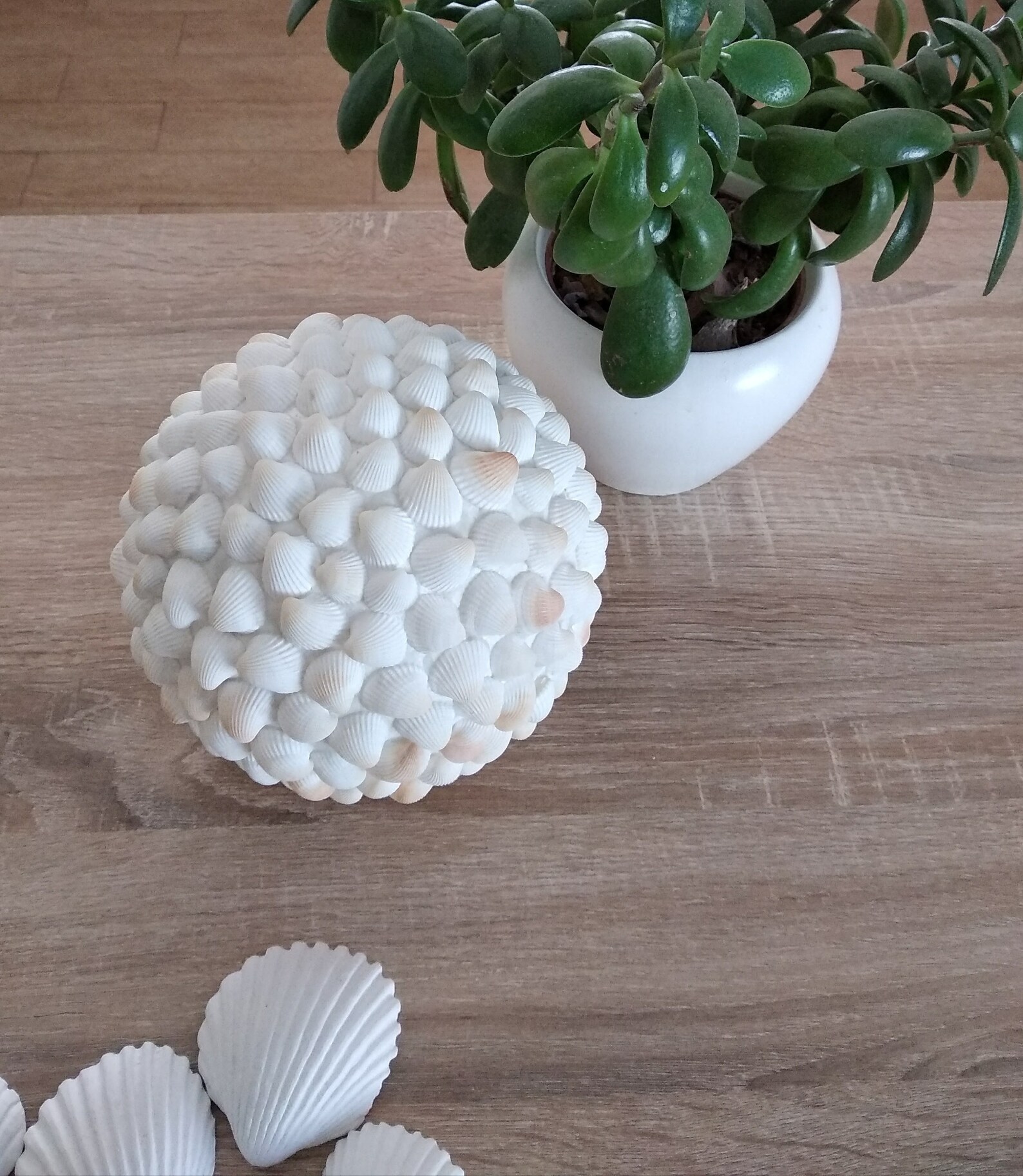 Natural shell decor sphere decorative white sea shell ball Etsy