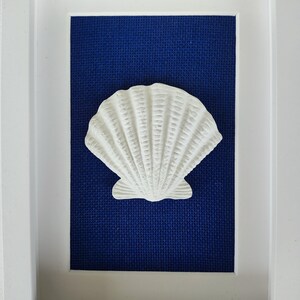 Una concha de vieira blanca con superficie texturizada se muestra en un marco blanco sobre un fondo azul oscuro. Decoración estilo costero o nautico.