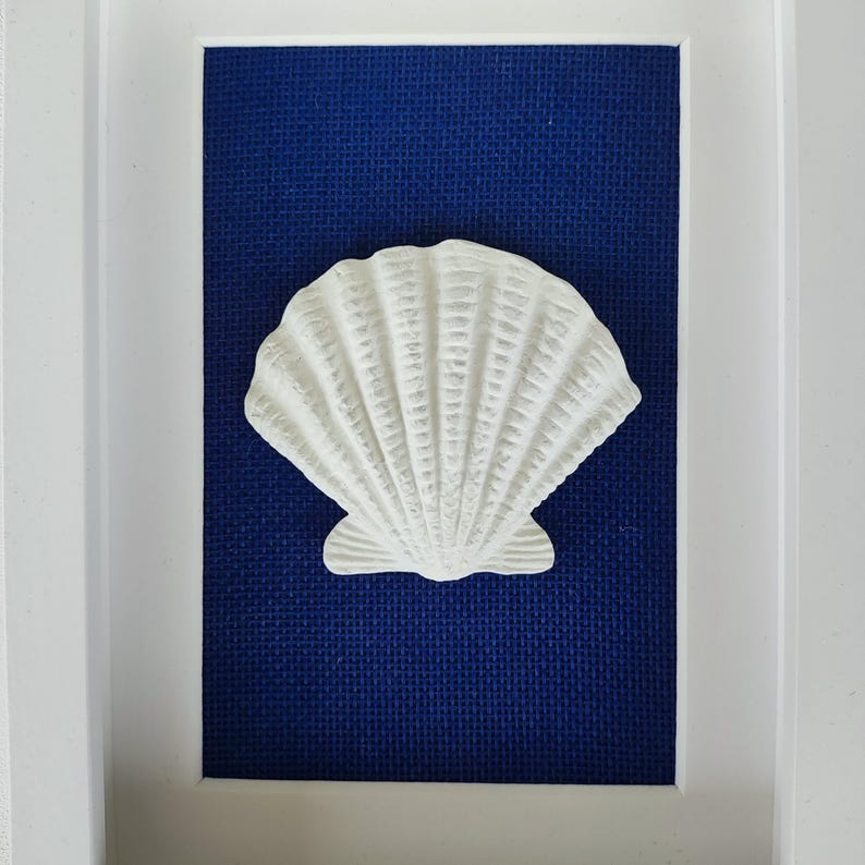 Una concha de vieira blanca con superficie texturizada se muestra en un marco blanco sobre un fondo azul oscuro. Decoración estilo costero o nautico.