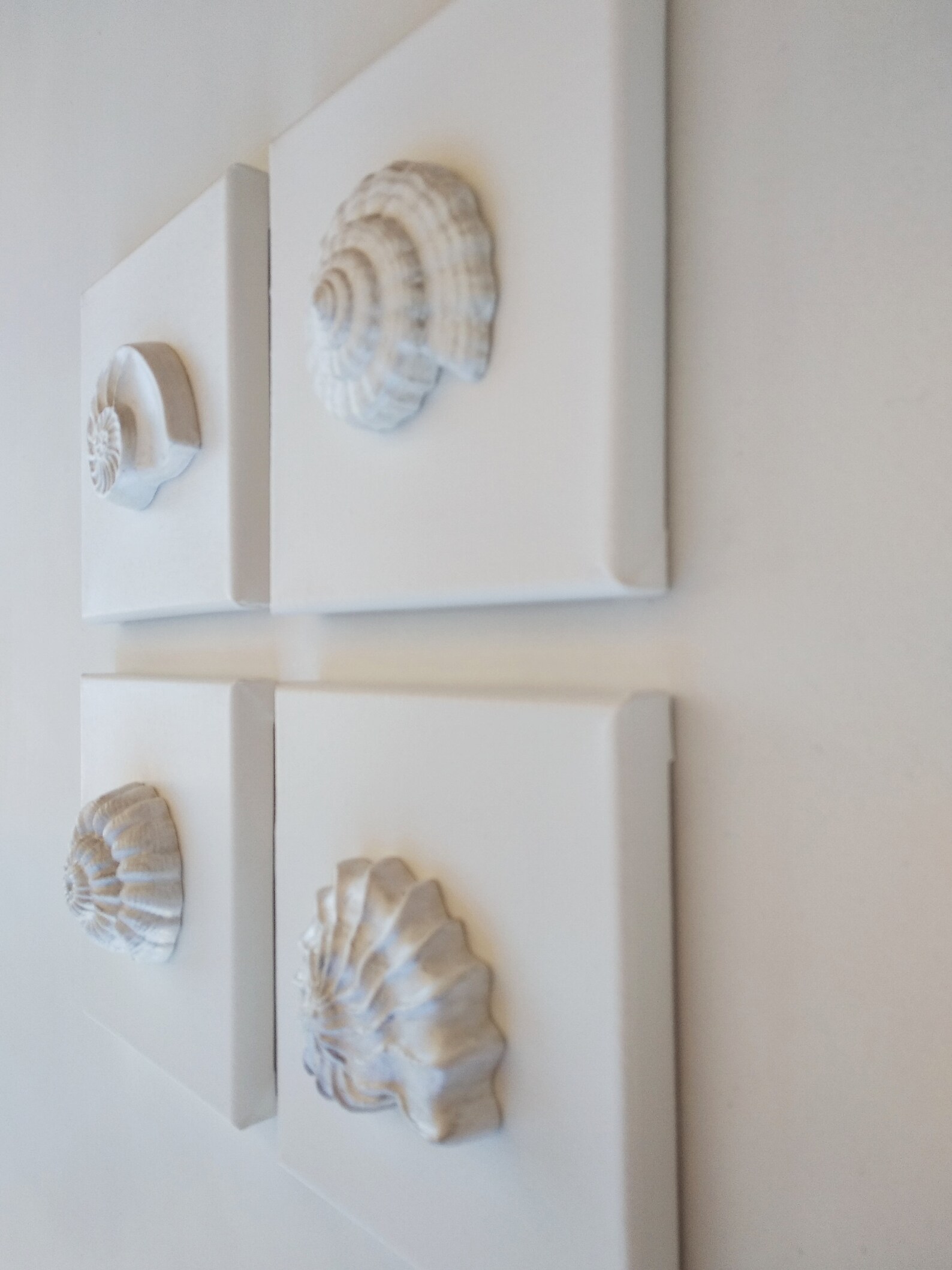 White Sea Shell Canvas Wall Art Set of 4 Coastal Seashells Etsy