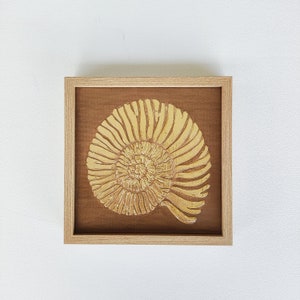 Può includere: Un'opera d'arte da parete incorniciata con un fossile di ammonite dorato su sfondo marrone.