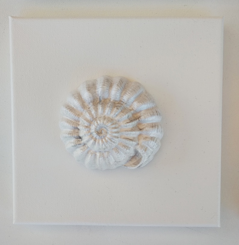 White Sea Shell Canvas Wall Art Set of 4 Coastal Seashells Etsy