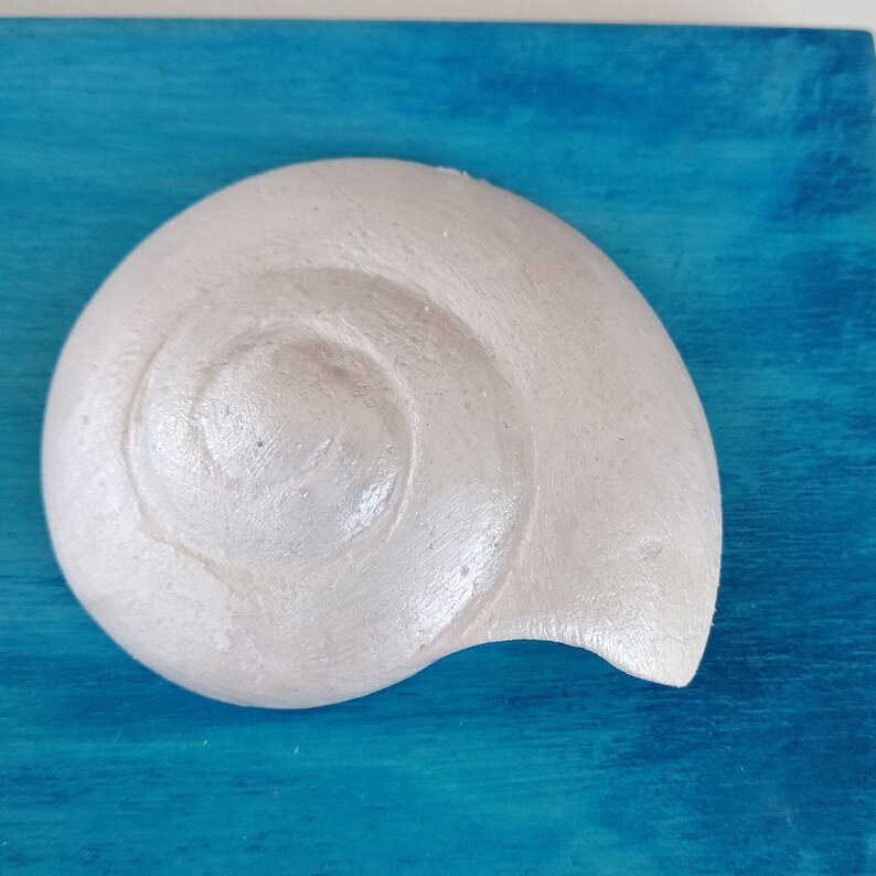 A small white sea shell sculpture with a spiral pattern on a blue background. Decorative coastal style ornament.