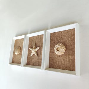 Ensemble de 3 petits tableaux de coquillages sur toile de jute, style rustique et neutre évoquant la plage.
