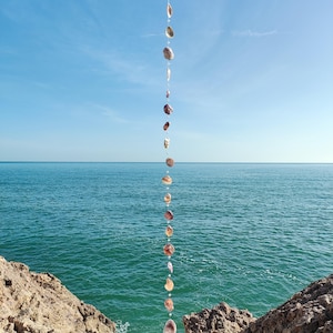 Puede incluir: Una cadena vertical de conchas cuelga contra un fondo de cielo azul brillante y océano. Las conchas varían en tamaño y color, desde beige claro hasta marrón oscuro. La escena evoca un tema costero y playero.