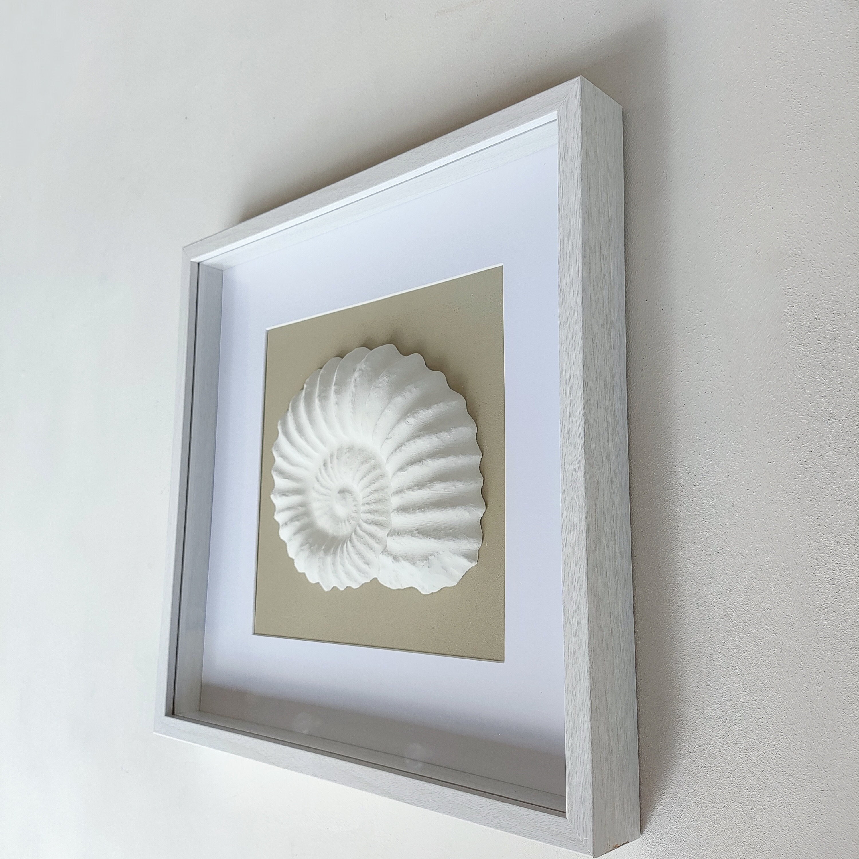 3Dアンモナイト石膏アート、オウムガイのレリーフ絵画、装飾的な貝殻 