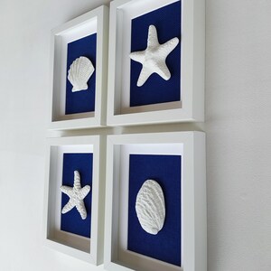 Cuatro cuadros decorativos de conchas enmarcadas blancas con fondos azul marino. Cada marco contiene una concha o una escultura de una estrella de mar blanca en relieve.