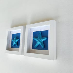 May include: Two white picture frames with blue mats and a turquoise starfish in each frame.