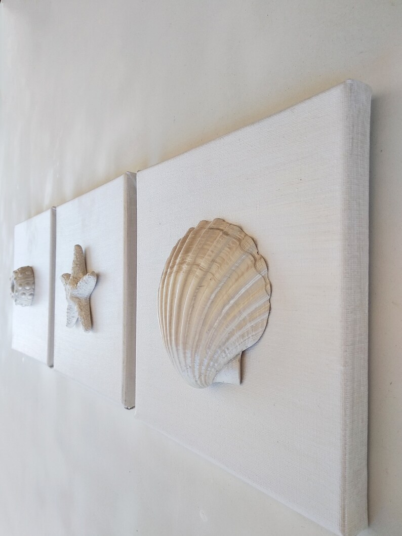 White Canvas Wall Art Set of 3 Shell Canvases Marine Wall Etsy