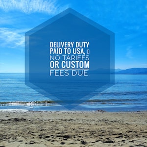 A beach landscape with blue sky and sea. A blue geometric shape contains white text: "DELIVERY DUTY PAID TO USA, NO TARIFFS OR CUSTOM FEES DUE."