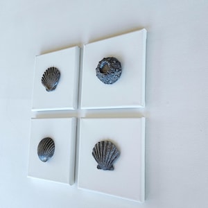 Toiles décoratives grises et blanches, petits tableaux avec coquillages en relief, art mural 3d original, tableaux minimalistes