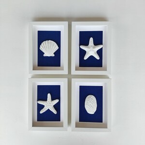 Cuatro cuadros decorativos enmarcados con imágenes blancas con fondos azules. Cada imagen presenta una concha o una estrella de mar blanca en relieve. Decoración con estilo costero.