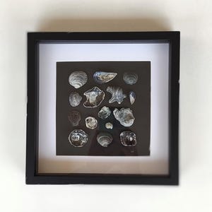 Mother of pearl and grey seashell wall art, framed beach finds, modern beach house decor